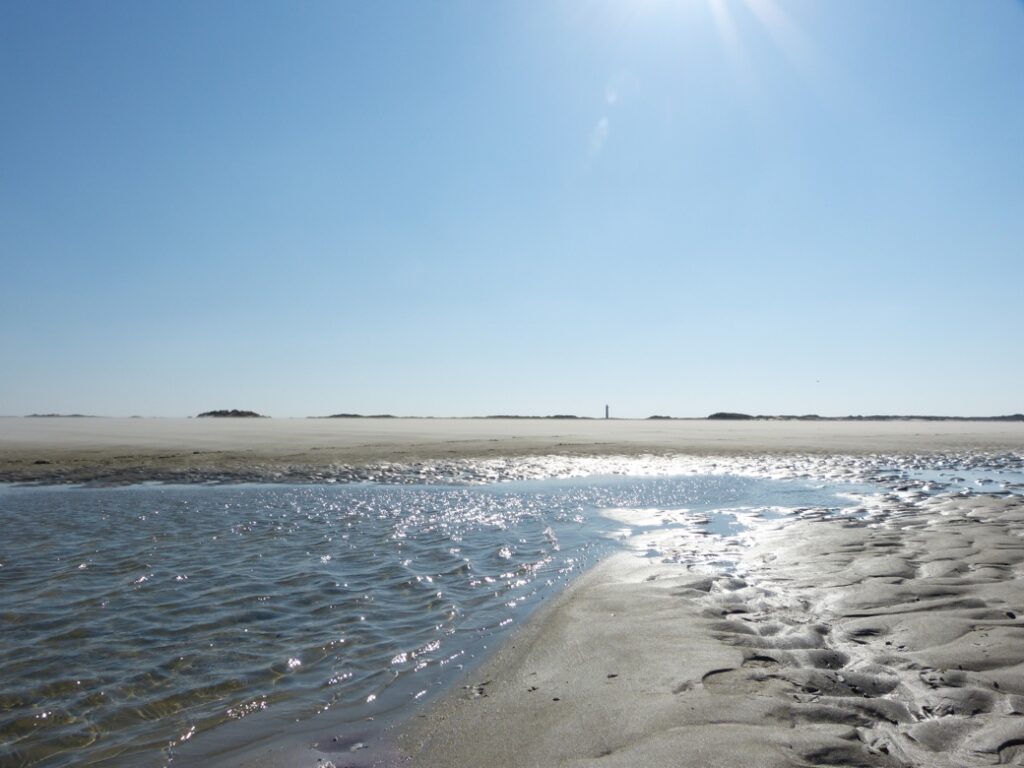 Strandgut Norderney