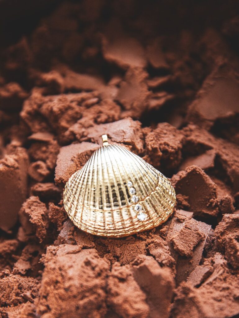 Brillantmuschel Holtmann Norderney